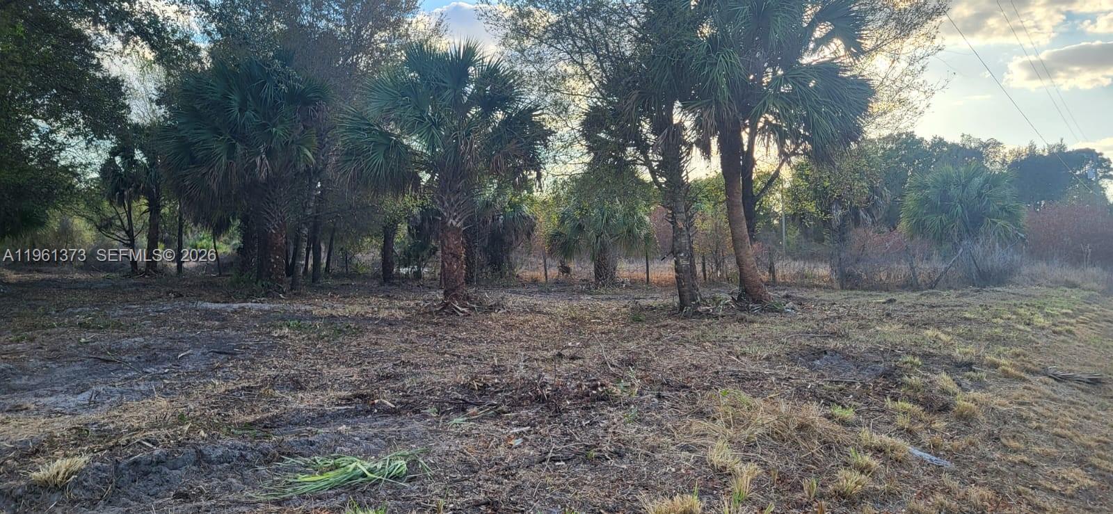   /   sq. ft. $ 2026-02-08 0 foto