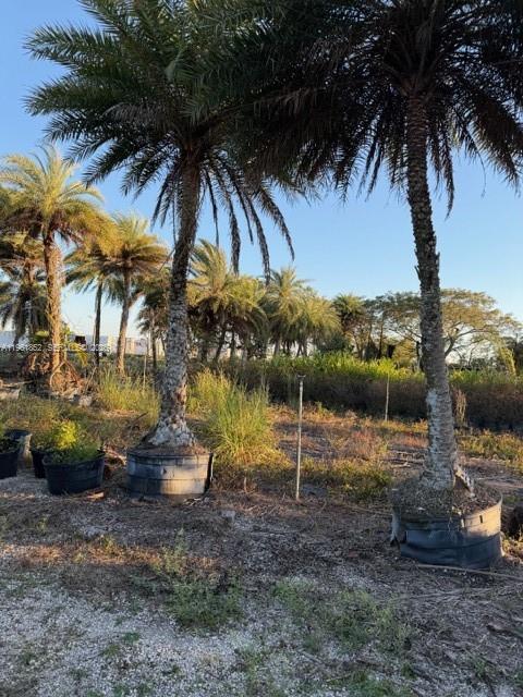 See details / sq. ft. $ 2026-02-09 0 Photo