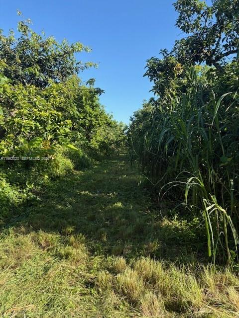 Ver detalles / sq. ft. $ 2026-02-09 0 foto