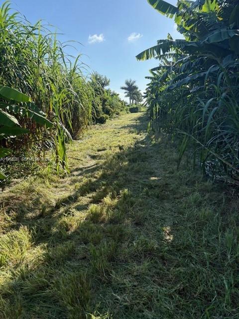 Ver detalles / sq. ft. $ 2026-02-09 0 foto