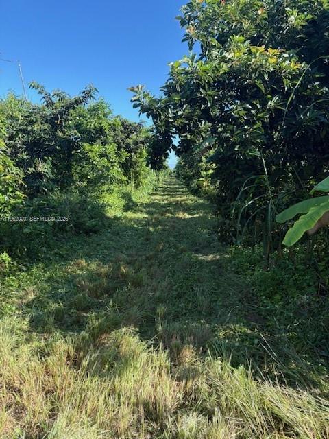 Ver detalles / sq. ft. $ 2026-02-09 0 foto