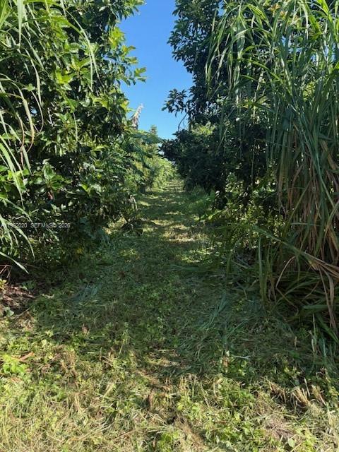 Ver detalles / sq. ft. $ 2026-02-09 0 foto