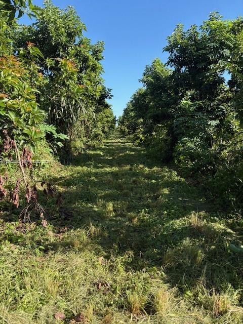 Ver detalles / sq. ft. $ 2026-02-09 0 foto