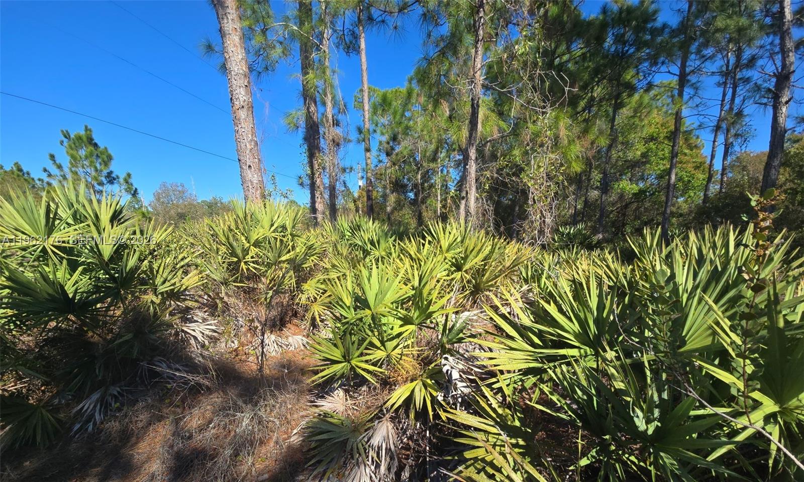 Ver detalles / sq. ft. $ 2026-02-09 0 foto