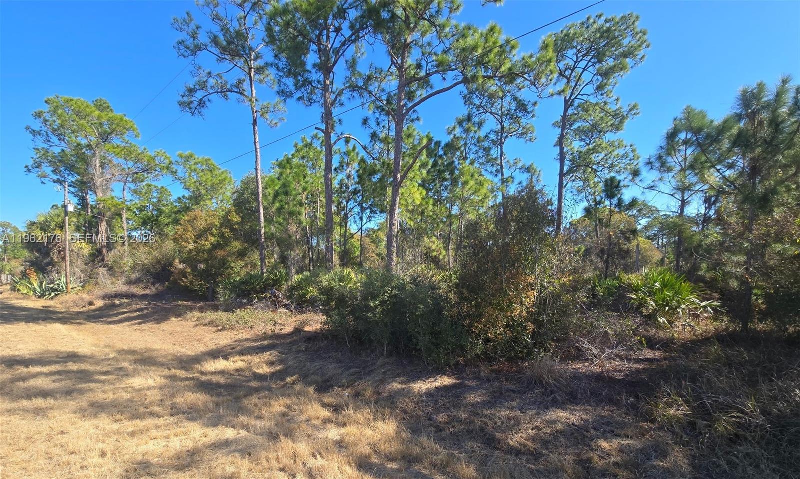 Ver detalles / sq. ft. $ 2026-02-09 0 foto