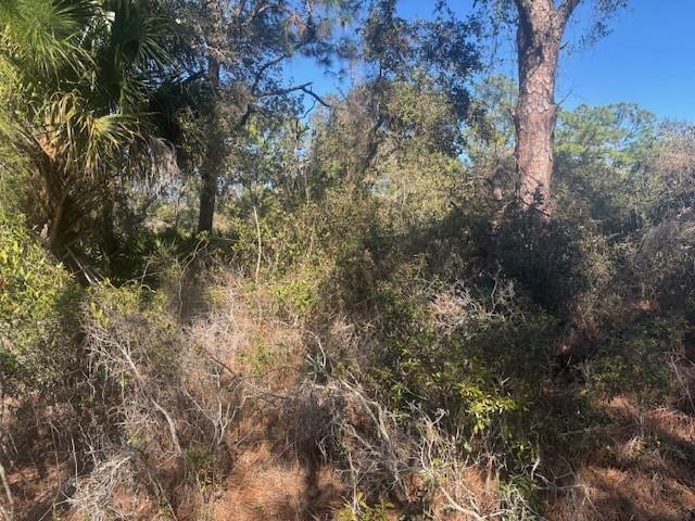   / 0  sq. ft. $ 2026-06-19 0 foto