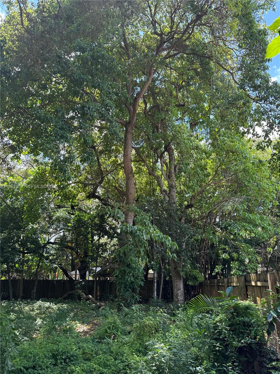 Подробнее / кв.футов $ 2026-02-10 0 Фото