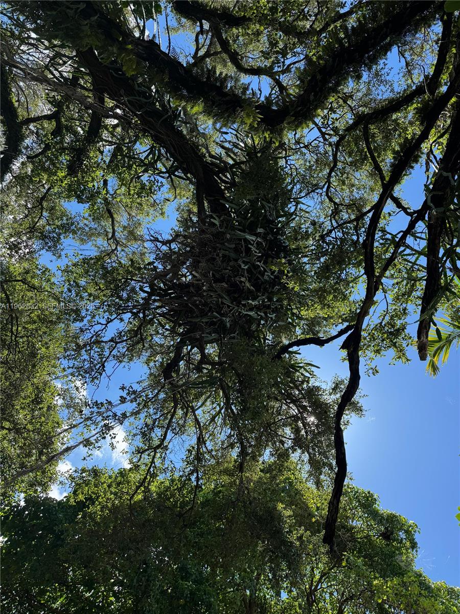 Подробнее / кв.футов $ 2026-02-10 0 Фото