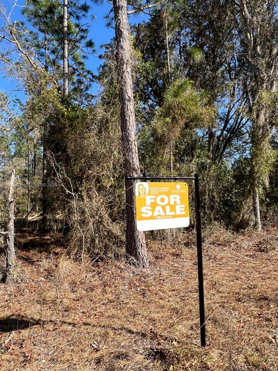   /   sq. ft. $ 2026-06-04 0 Photo