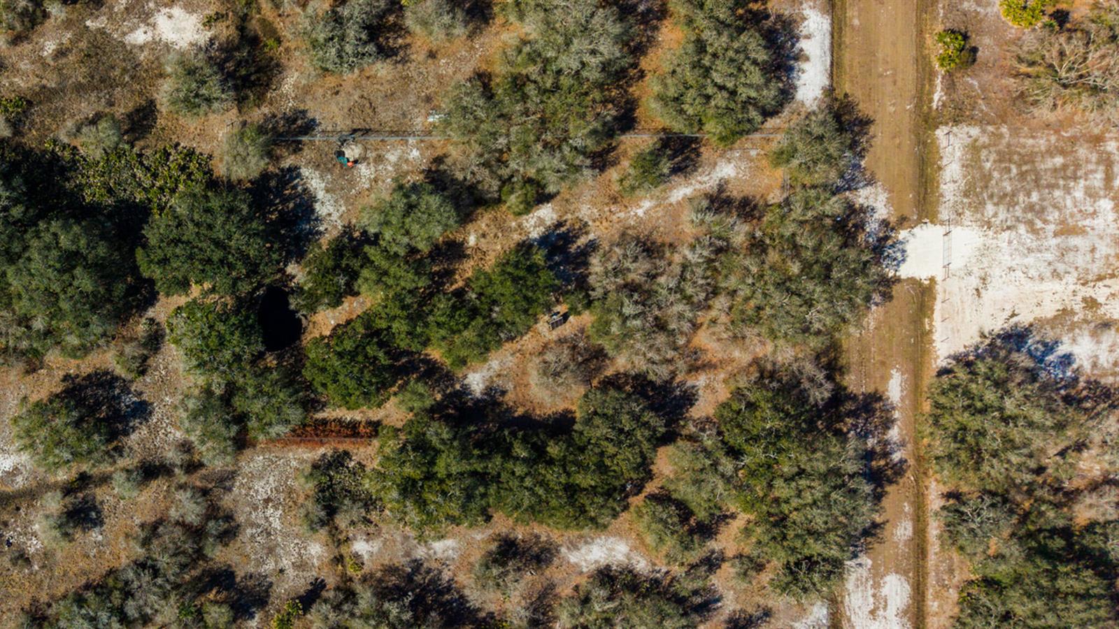   / 0  sq. ft. $ 2026-06-23 0 foto