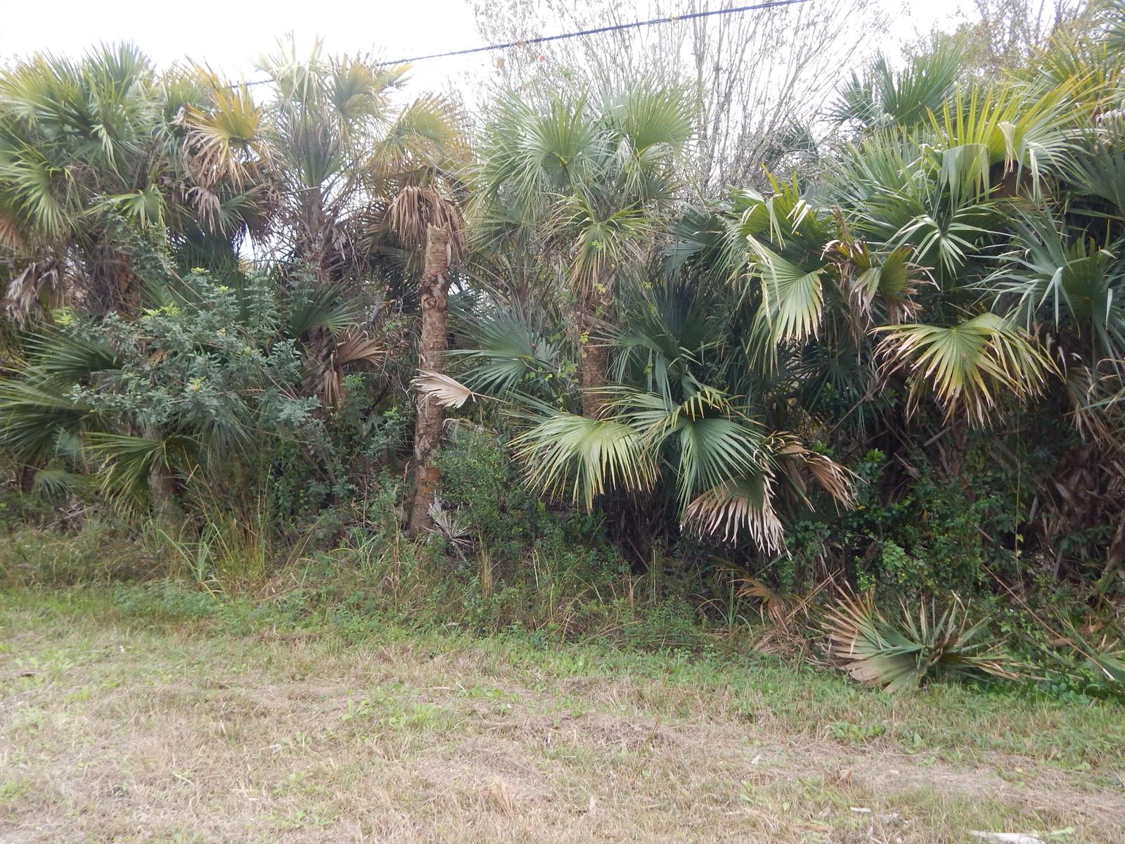 Ver detalles / 0 sq. ft. $ 2026-06-15 0 foto