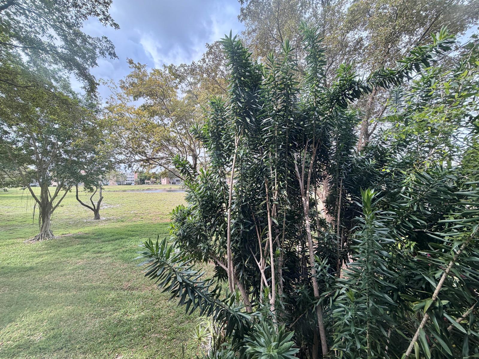 Ver detalles 204 1 / 2 960 sq. ft. $ 2026-03-13 0 foto