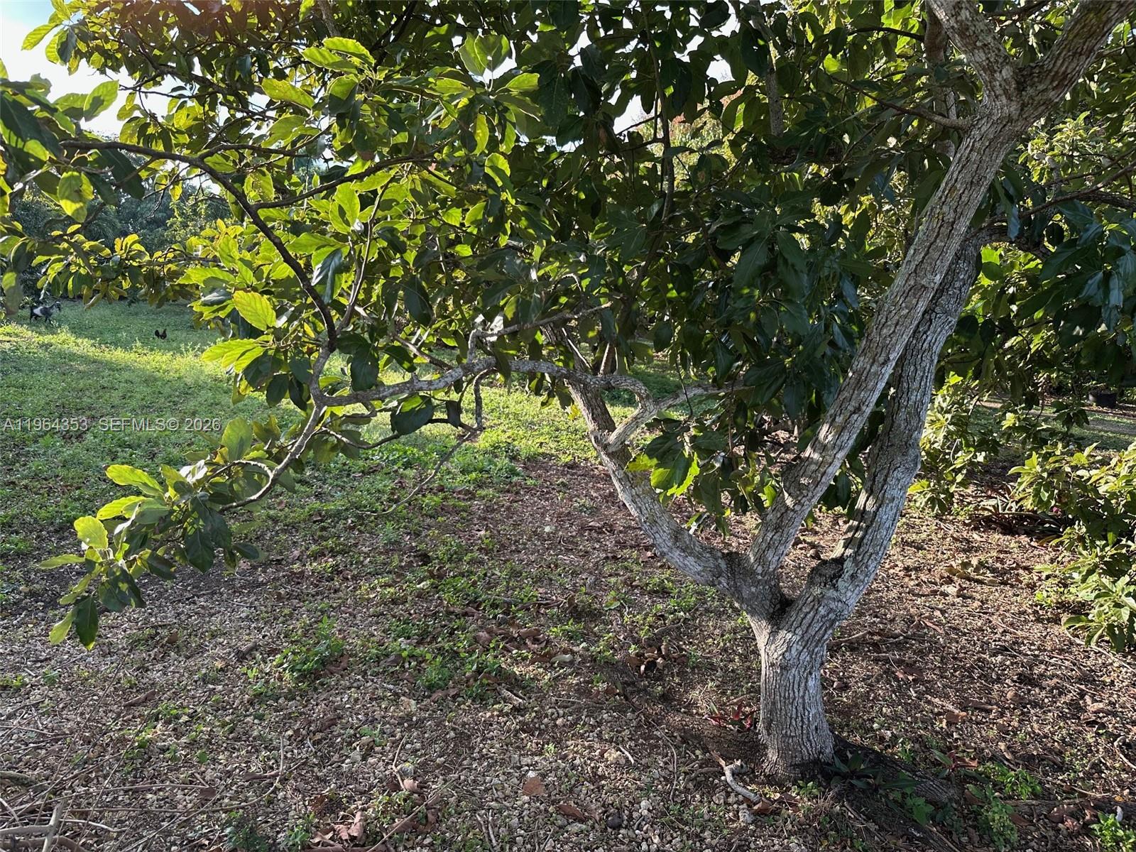   /   sq. ft. $ 2026-02-12 0 foto