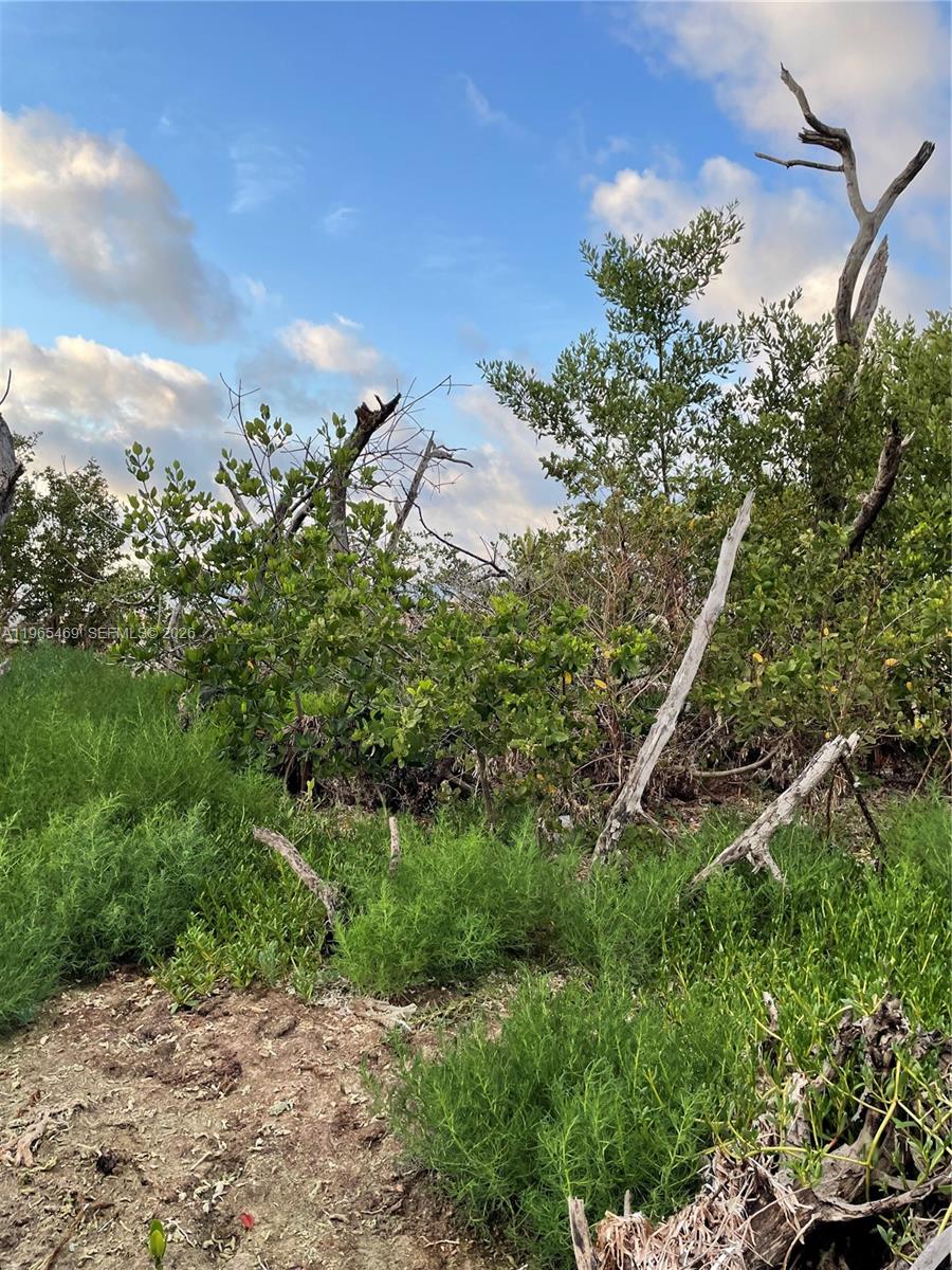 Подробнее / кв.футов $ 2026-02-13 0 Фото