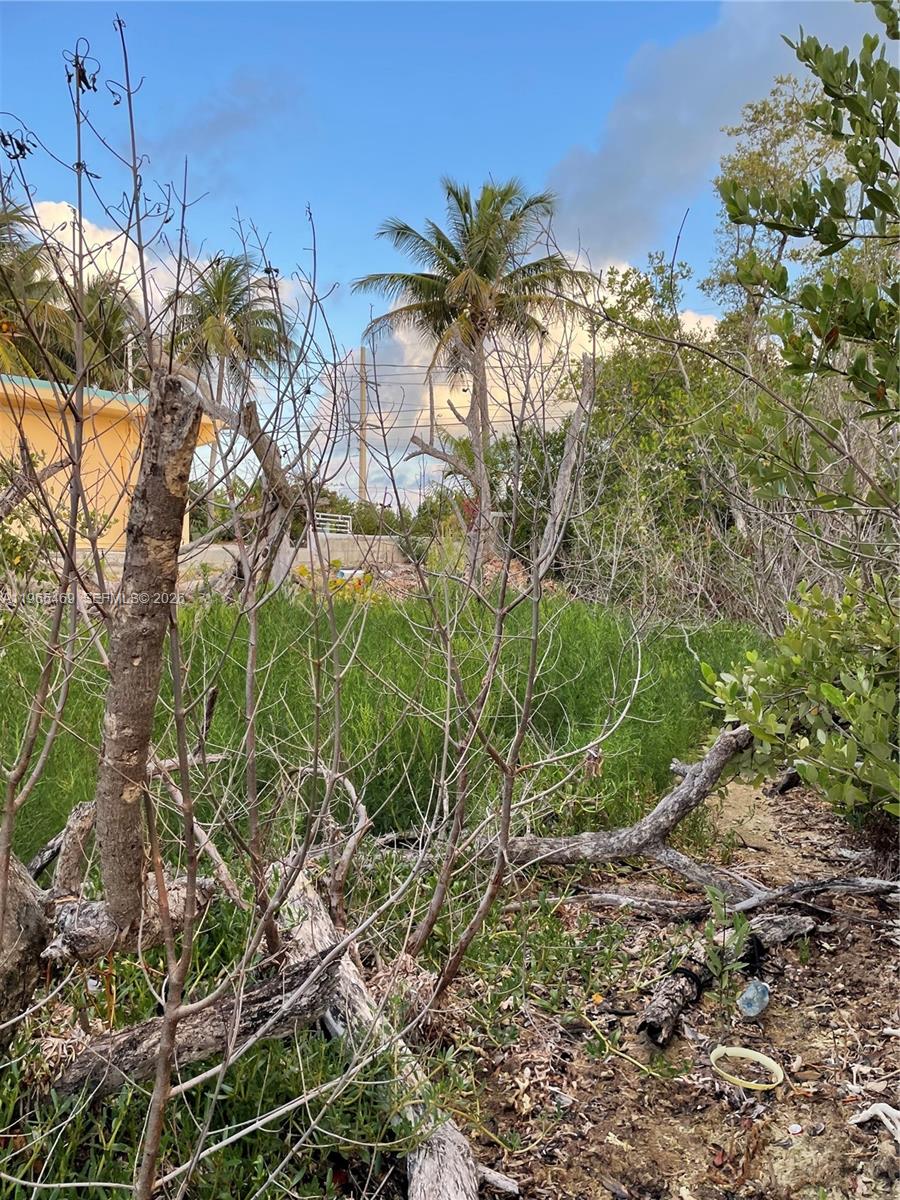 Подробнее / кв.футов $ 2026-02-13 0 Фото