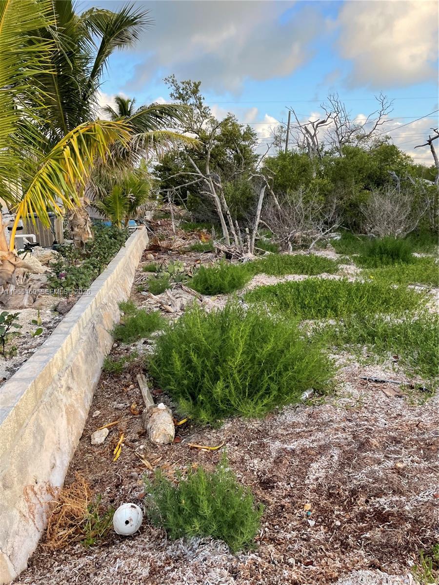 Подробнее / кв.футов $ 2026-02-13 0 Фото