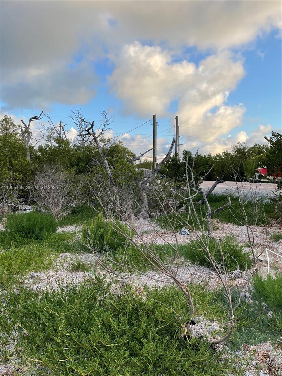 Подробнее / кв.футов $ 2026-02-13 0 Фото