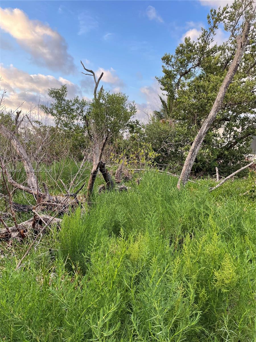 Подробнее / кв.футов $ 2026-02-13 0 Фото