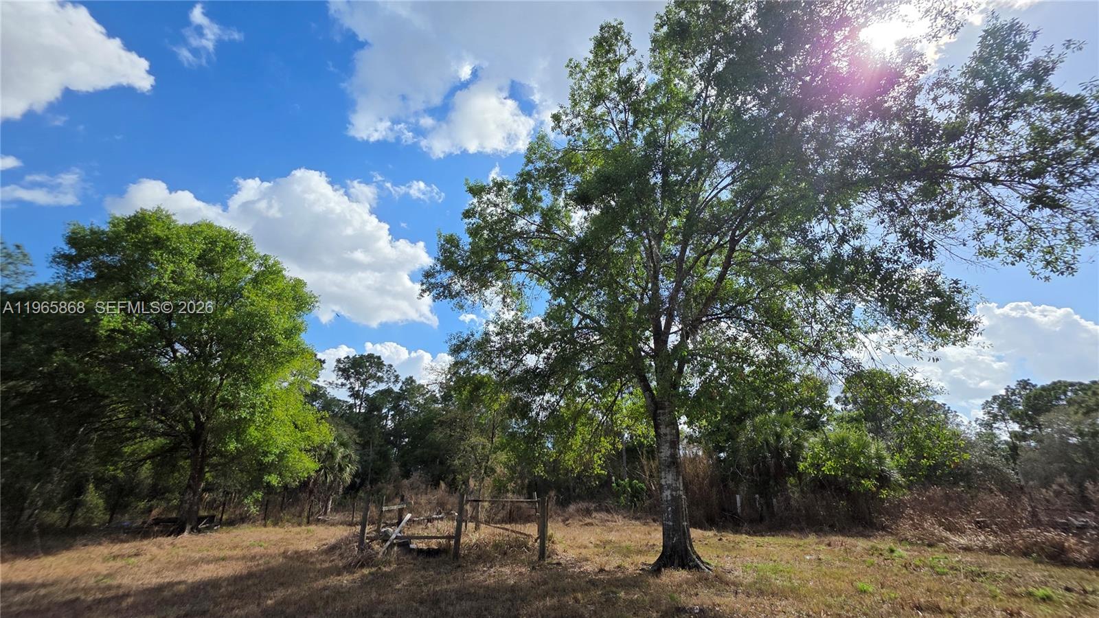 Подробнее / кв.футов $ 2026-02-15 0 Фото