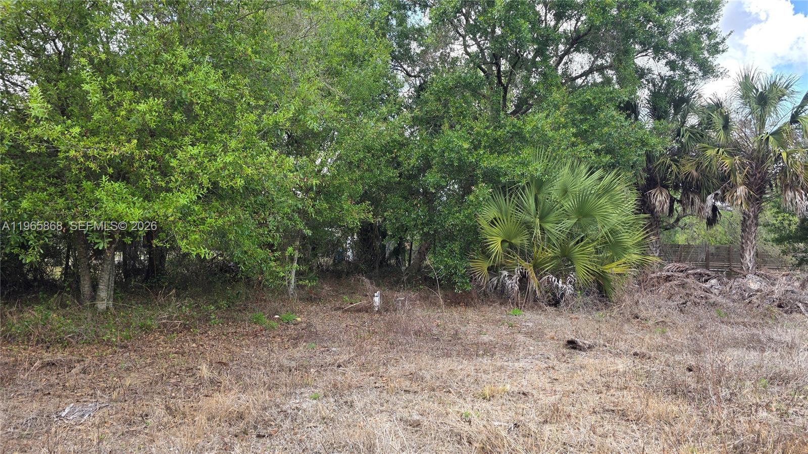 Подробнее / кв.футов $ 2026-02-15 0 Фото