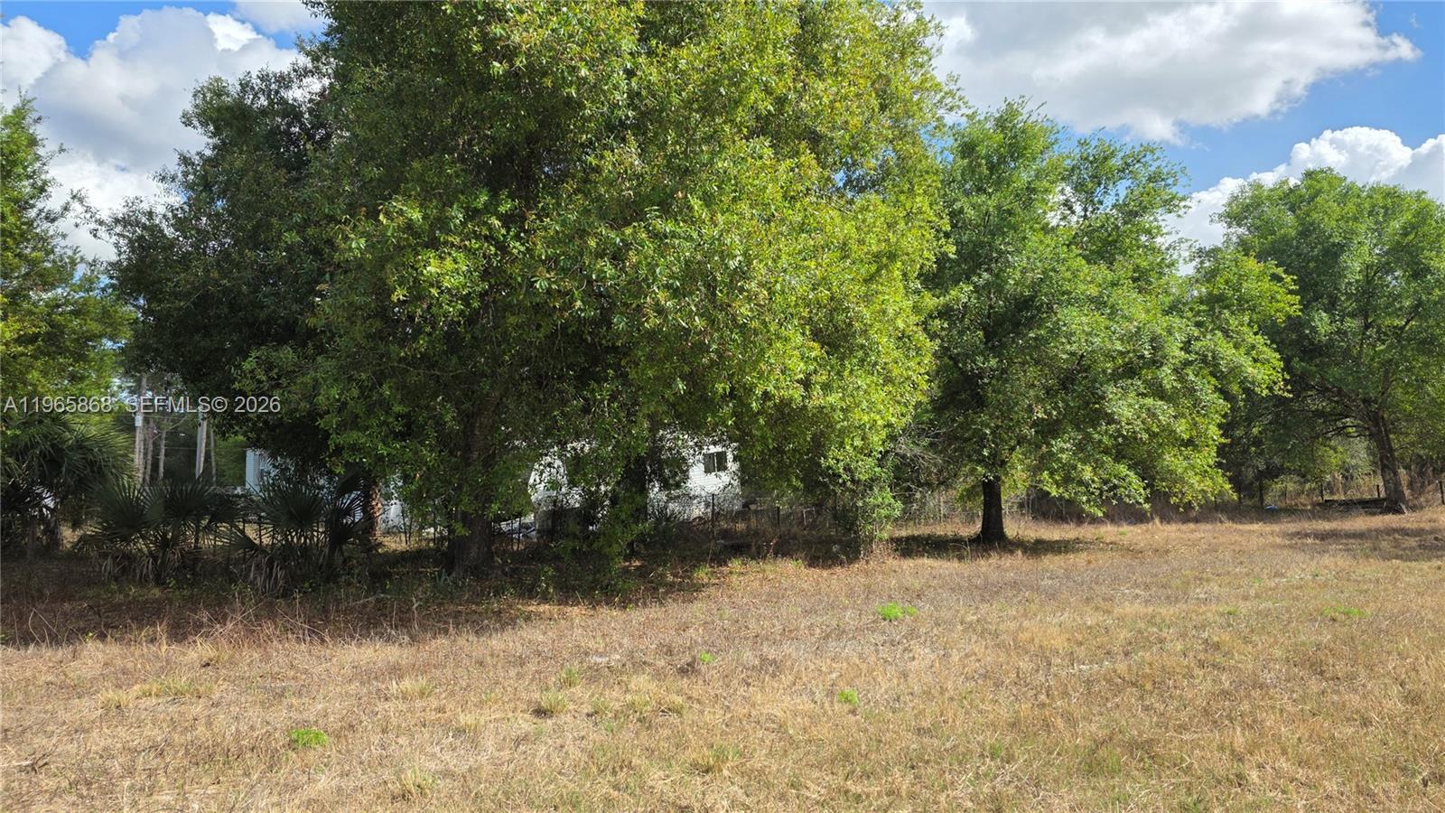 Подробнее / кв.футов $ 2026-02-15 0 Фото