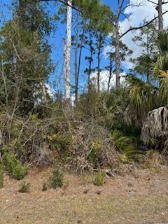 See details / 0 sq. ft. $ 2026-06-19 0 Photo
