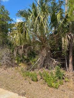 See details / 0 sq. ft. $ 2026-06-19 0 Photo