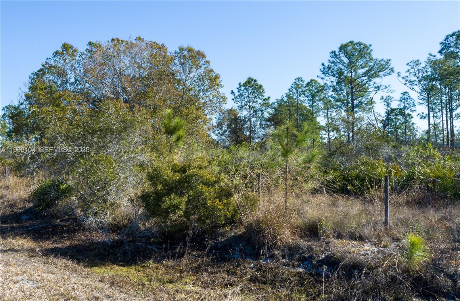   /   sq. ft. $ 2026-02-16 0 Photo