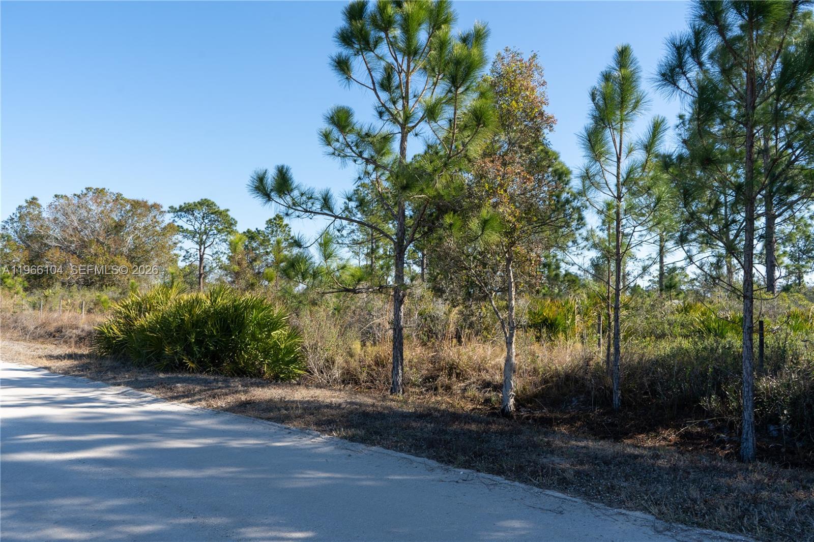   /   sq. ft. $ 2026-02-16 0 Photo