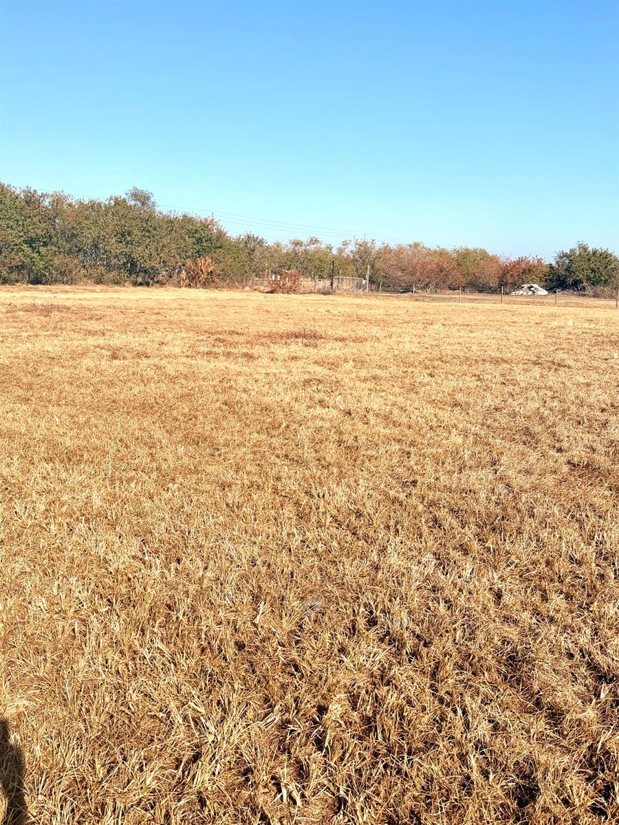   / 0  sq. ft. $ 2026-06-15 0 foto
