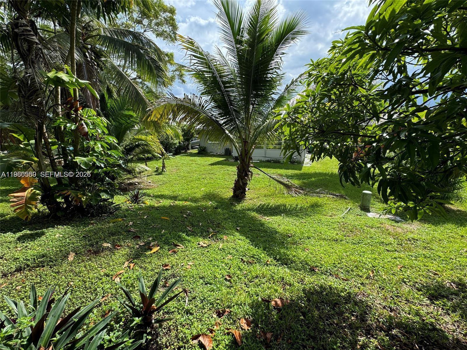 6733 2 / 2 1128 sq. ft. $ 2026-02-17 0 Photo