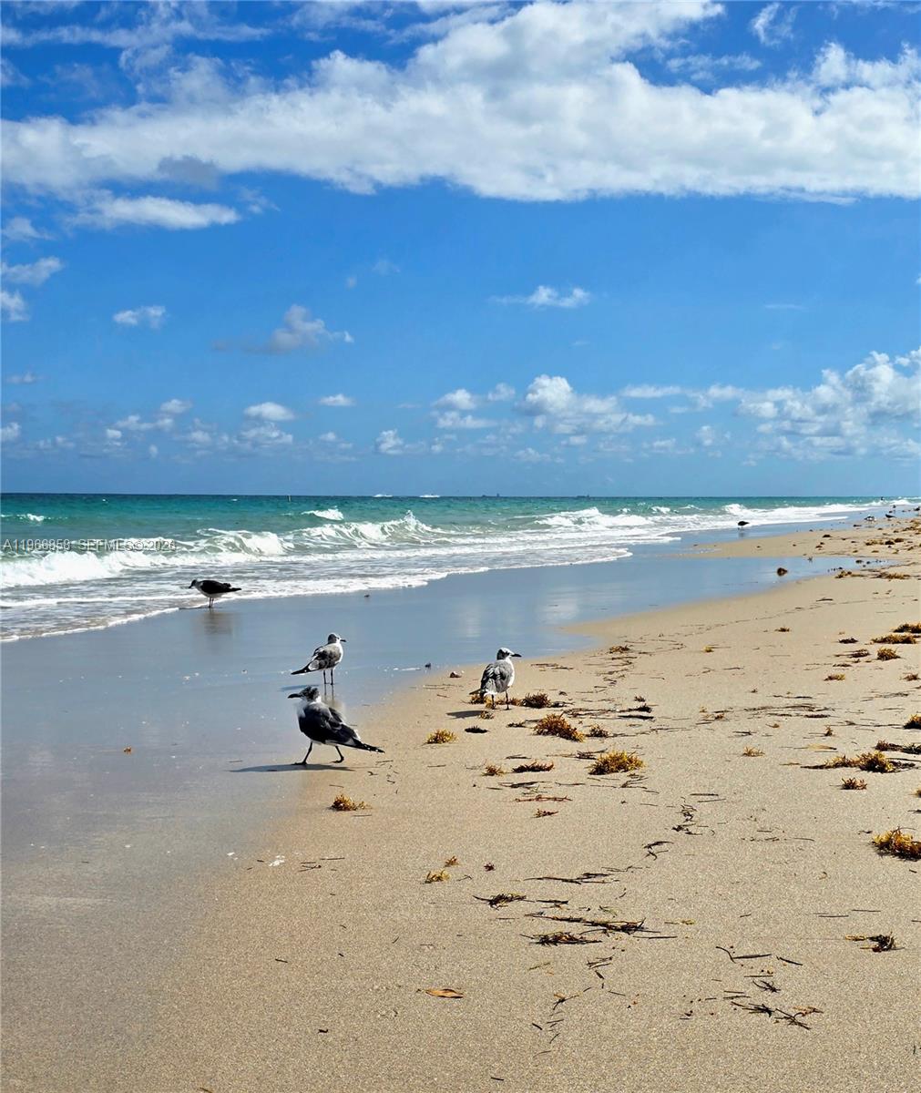 Photo of 10175 Collins Ave #208, Bal Harbour, Florida, 33154 - Beach