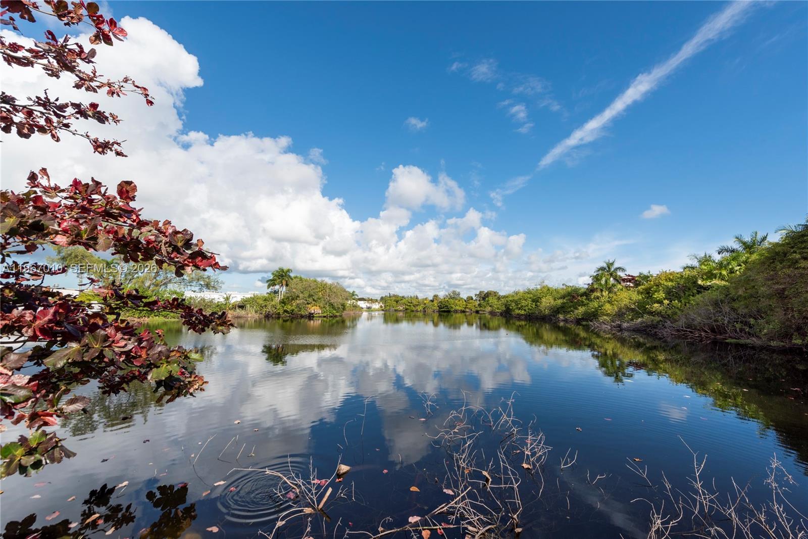 Подробнее / кв.футов $ 2026-02-17 0 Фото