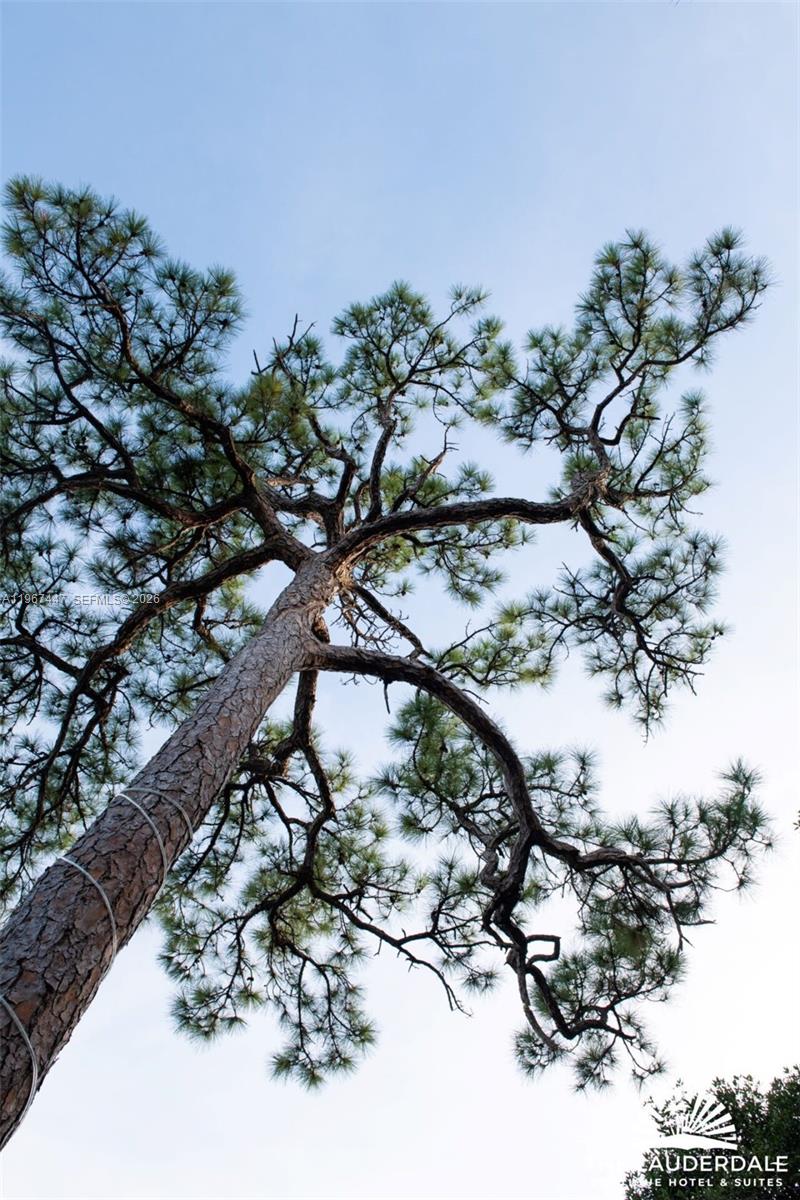 See details / sq. ft. $ 2026-02-18 0 Photo