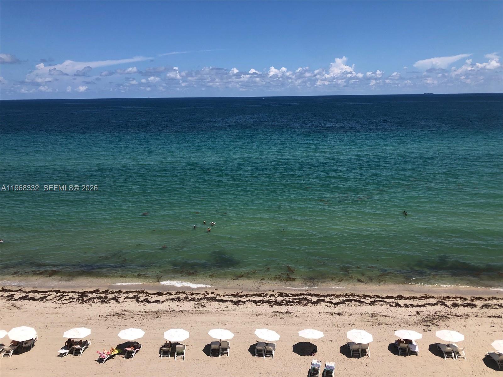 2907 1 / 1 871 sq. ft. $ 2026-02-19 0 foto