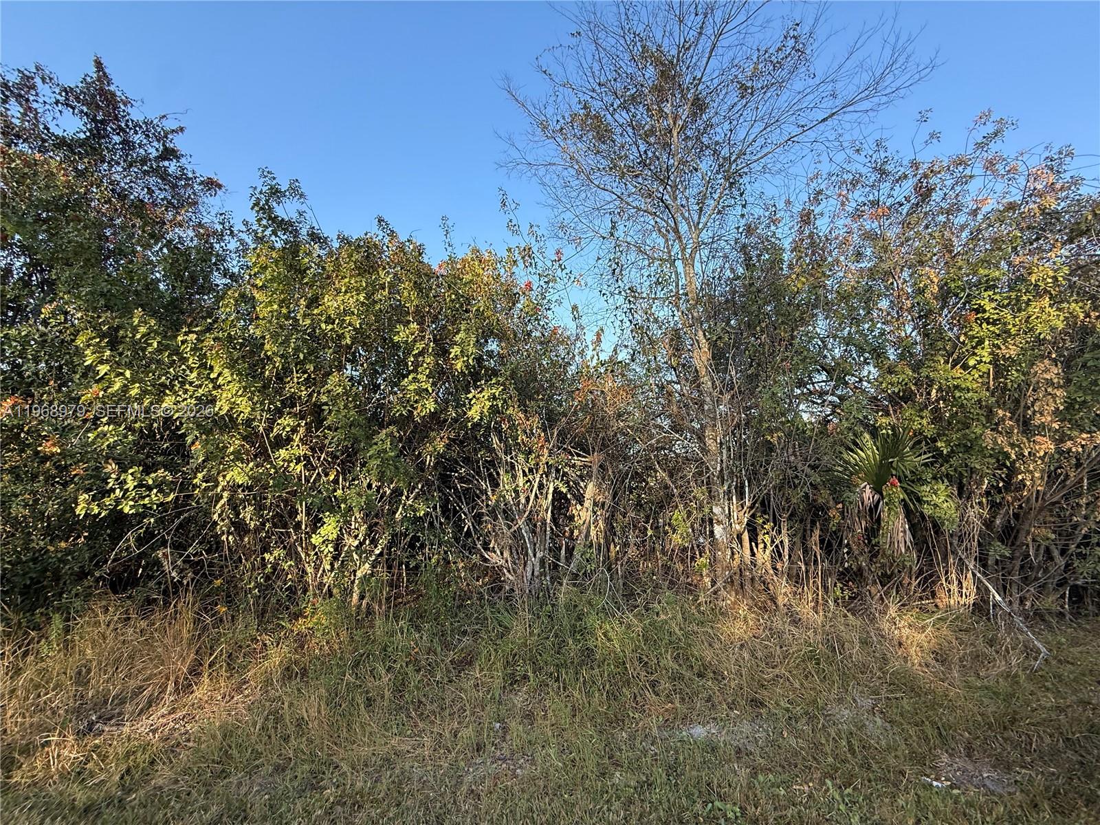 Ver detalles / sq. ft. $ 2026-02-20 0 foto