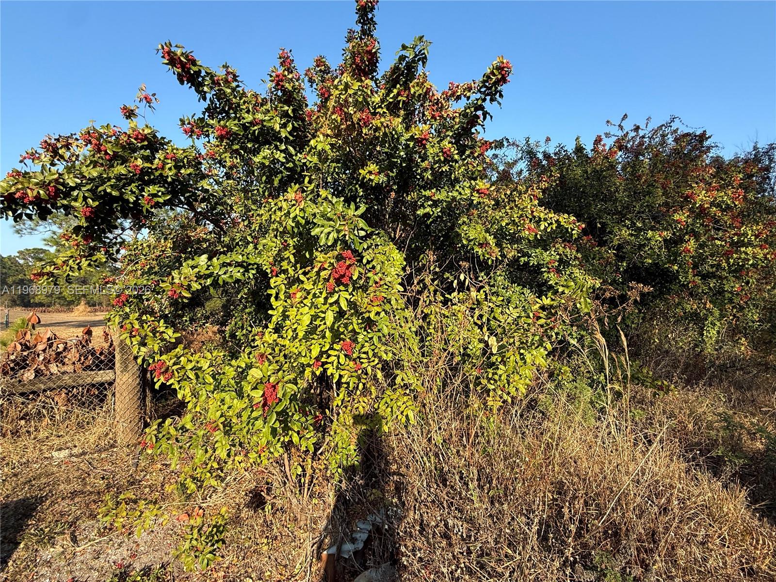 Ver detalles / sq. ft. $ 2026-02-20 0 foto