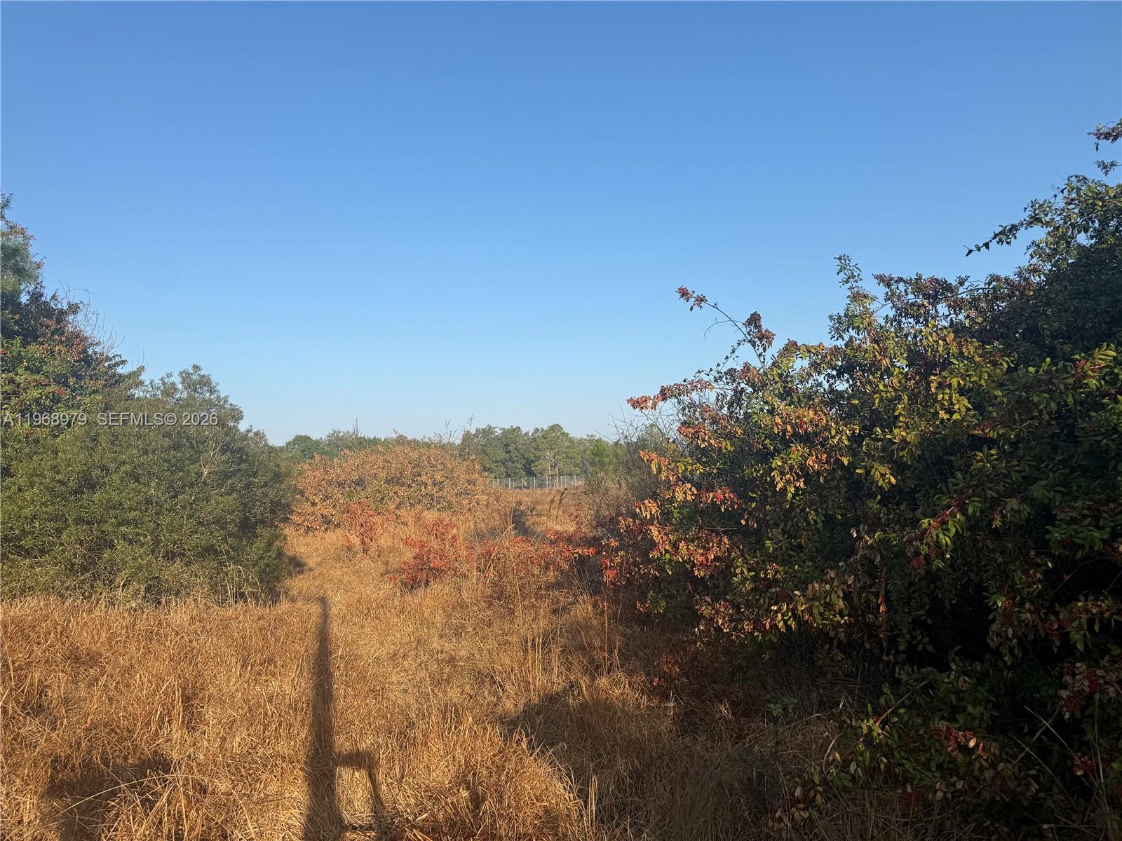 Ver detalles / sq. ft. $ 2026-02-20 0 foto