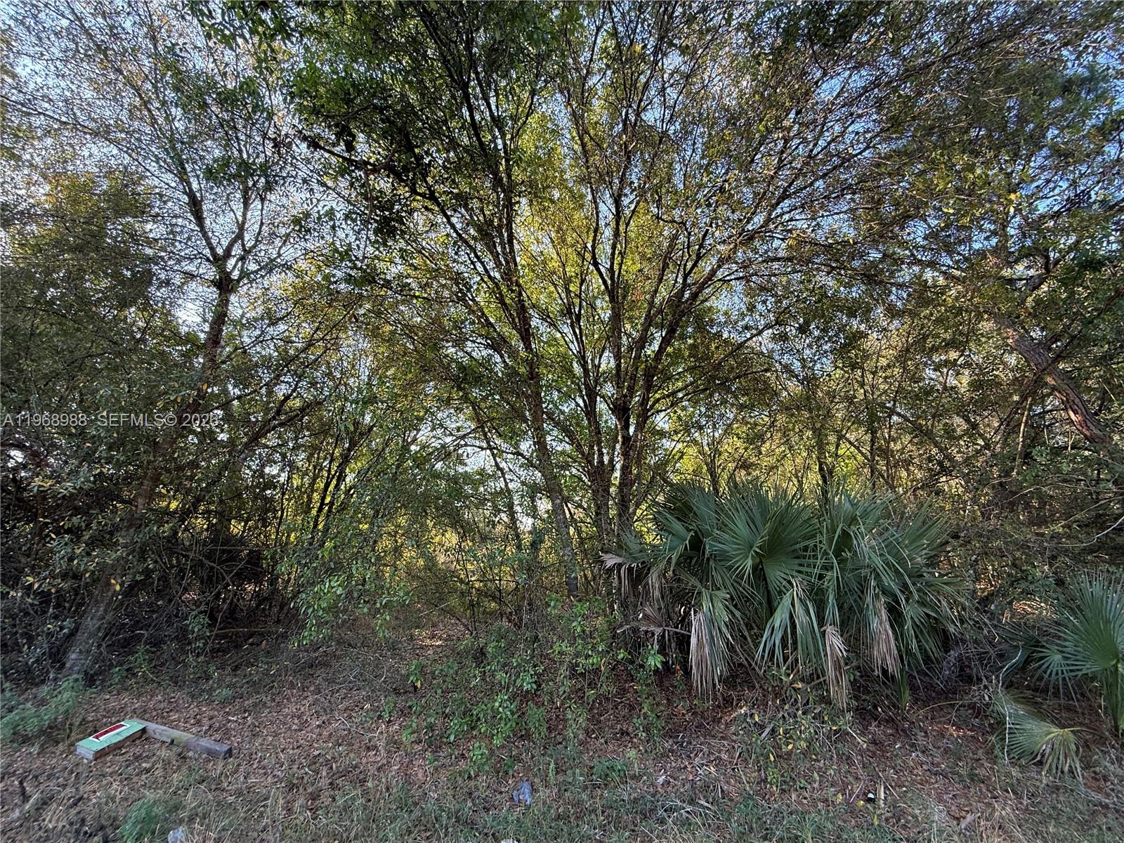 Ver detalles / sq. ft. $ 2026-02-20 0 foto