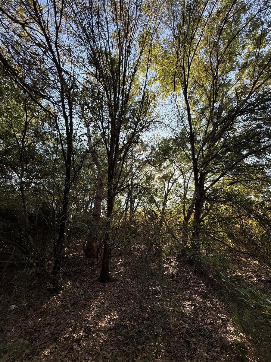 Ver detalles / sq. ft. $ 2026-02-20 0 foto