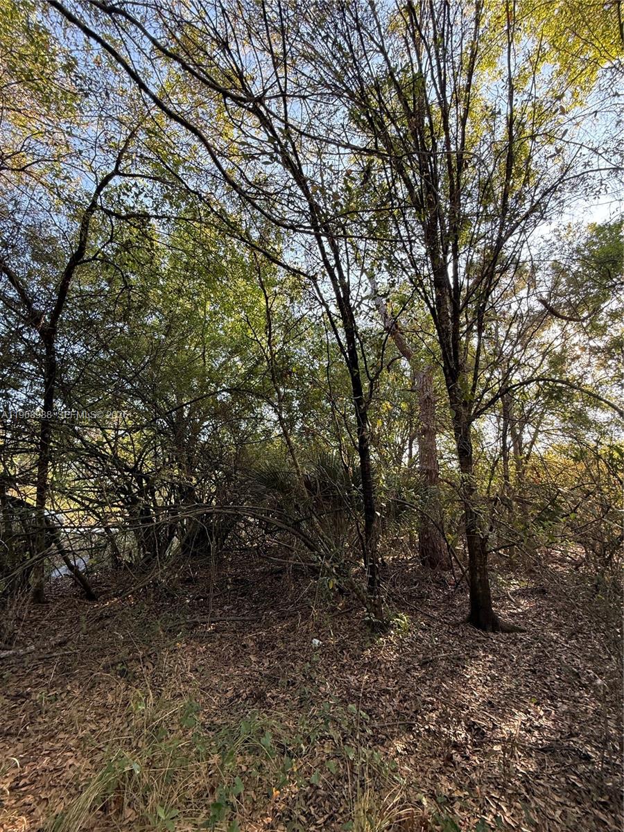 Ver detalles / sq. ft. $ 2026-02-20 0 foto