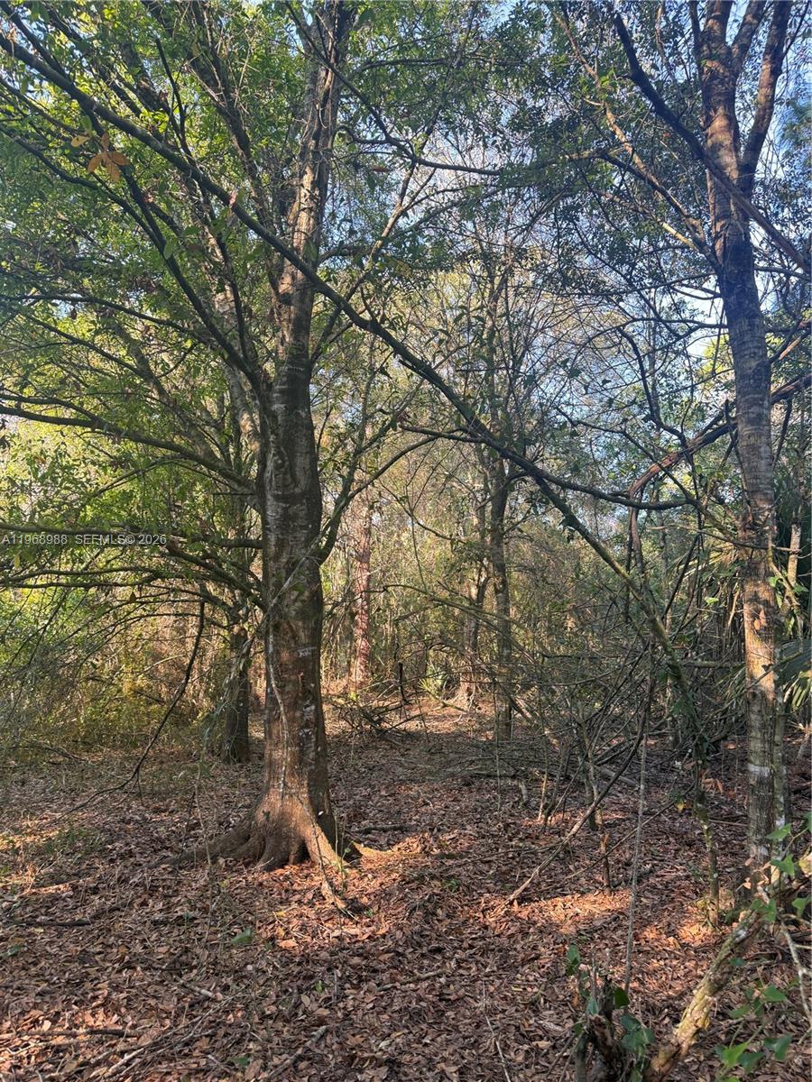 Ver detalles / sq. ft. $ 2026-02-20 0 foto