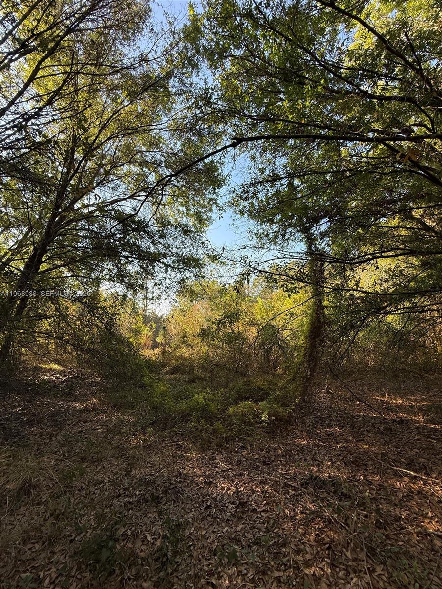 Ver detalles / sq. ft. $ 2026-02-20 0 foto