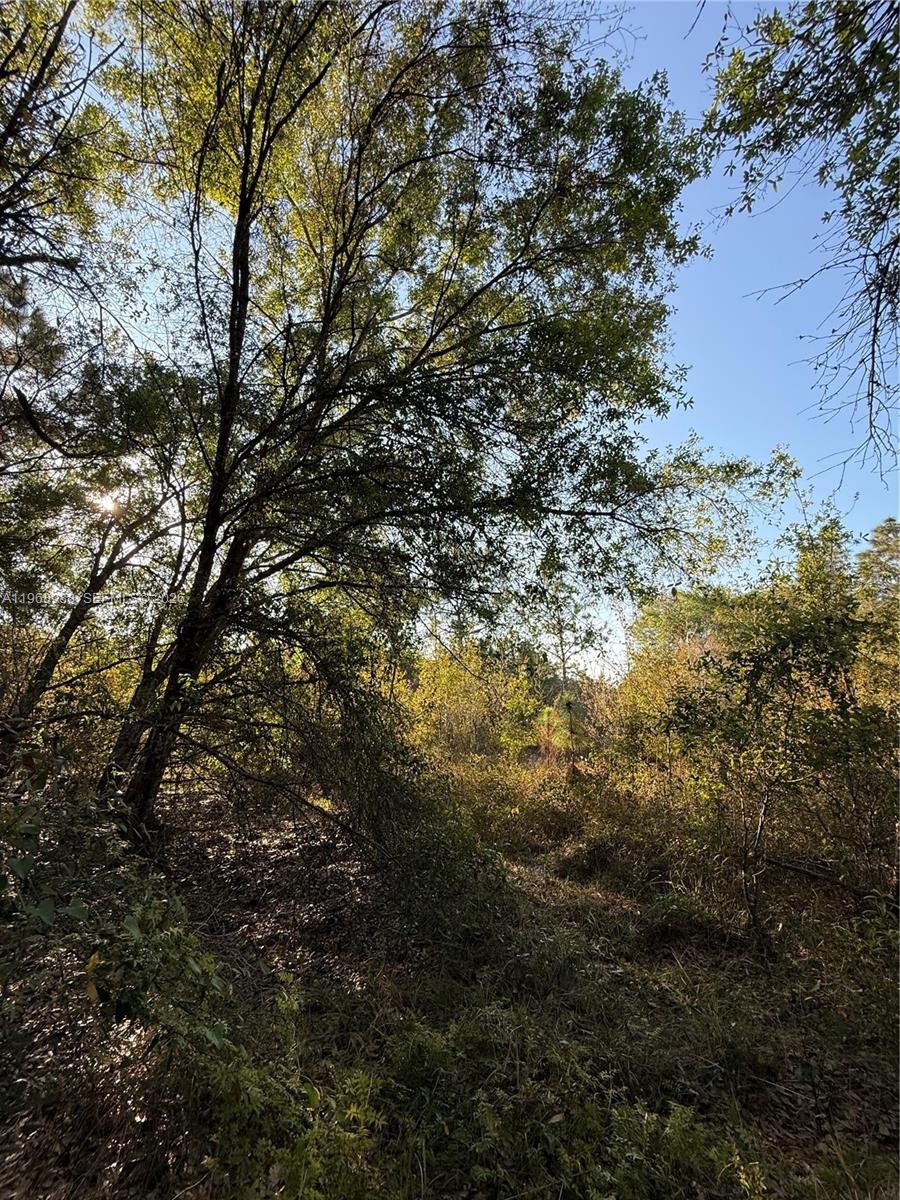 Ver detalles / sq. ft. $ 2026-02-20 0 foto