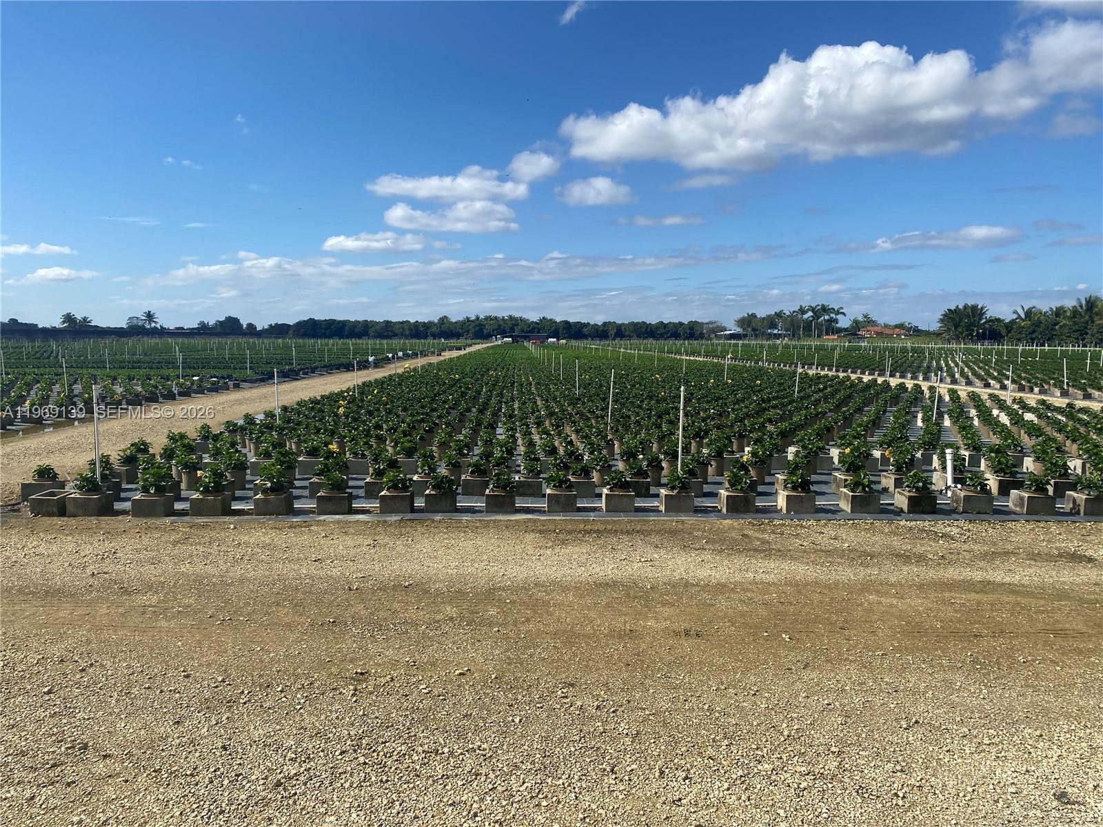   /   sq. ft. $ 2026-02-20 0 Photo