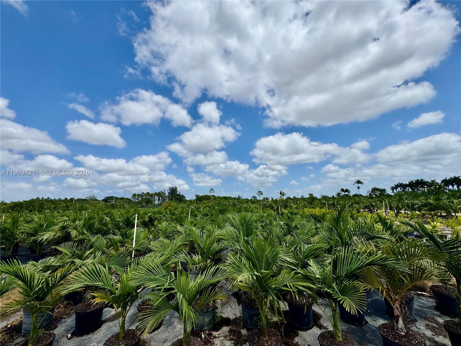 Ver detalles / sq. ft. $ 2026-02-20 0 foto