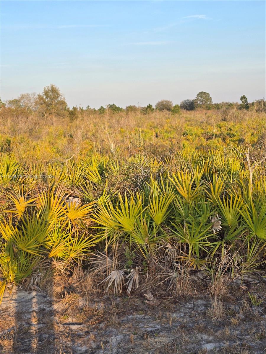 Ver detalles / sq. ft. $ 2026-02-21 0 foto