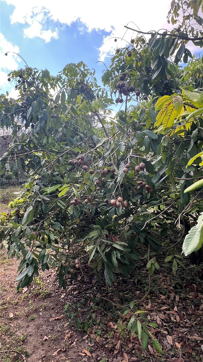   /   кв.футов $ 2026-02-23 0 Фото