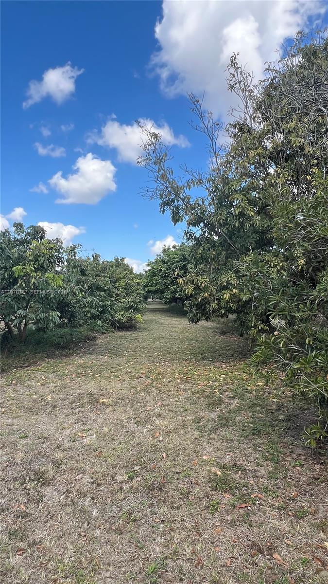   /   кв.футов $ 2026-02-23 0 Фото