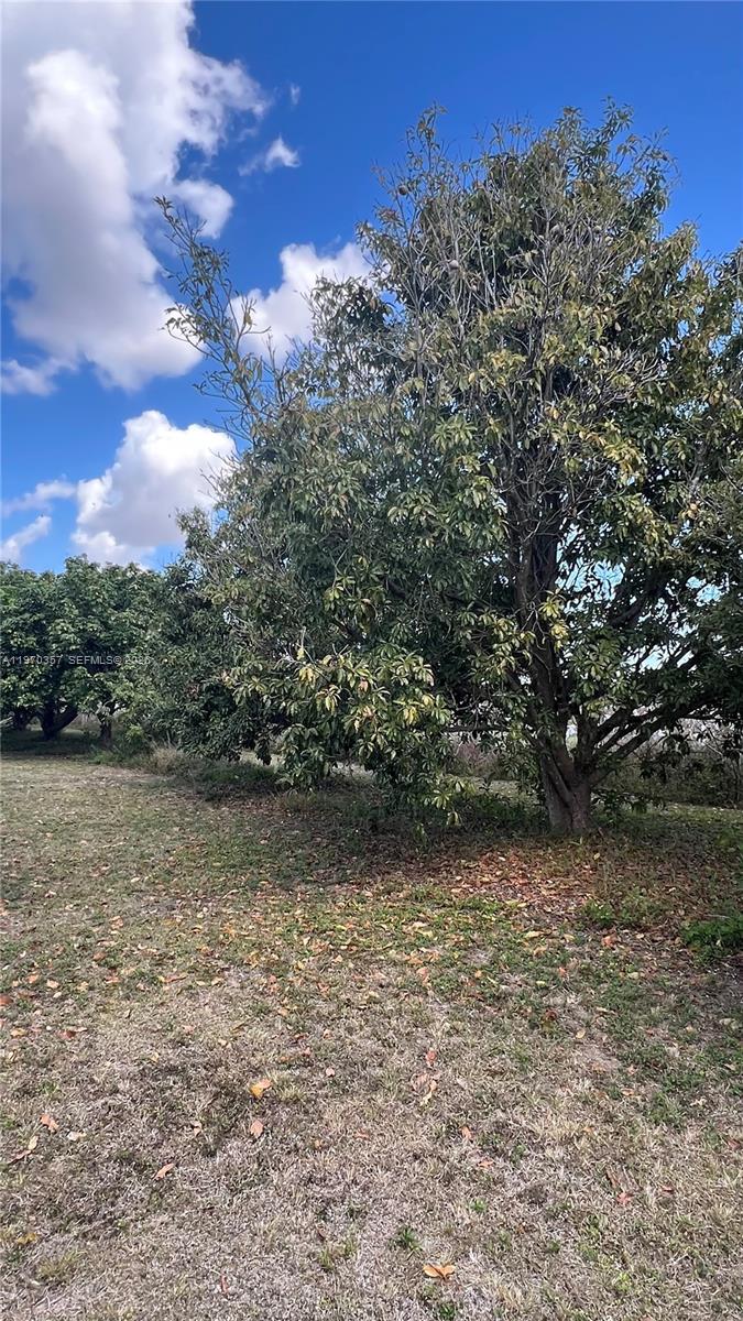   /   кв.футов $ 2026-02-23 0 Фото